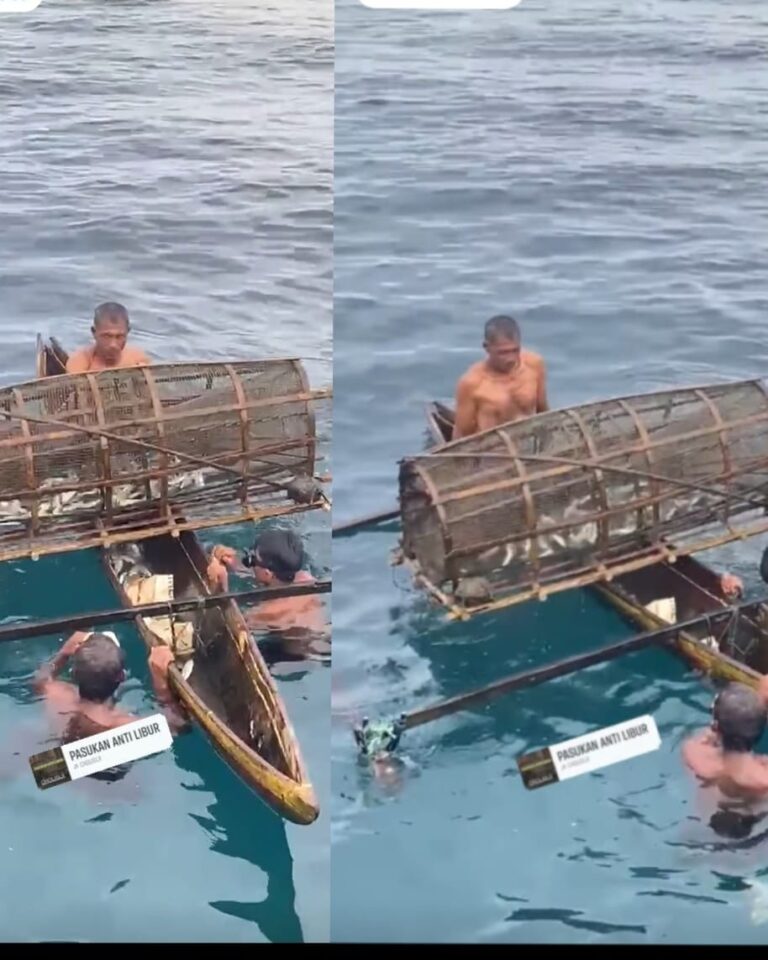 IMG-20250703-WA0002(1)