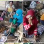 IMG-20251110-WA0082(1)