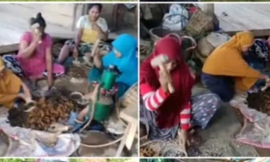 IMG-20251110-WA0082(1)